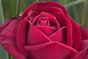%_tempFileNameCRW_8440_5100K_minus_oneEV_sharp_print%