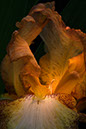 %_tempFileNameCRW_1783_095_062%