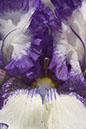 %_tempFileNameCRW_3960_sharp%