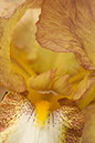 %_tempFileNameCRW_7413%