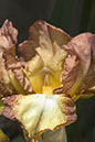 %_tempFileNameCRW_8356_sharp%