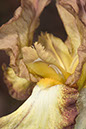 %_tempFileNameCRW_8490_sharp%