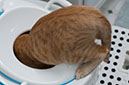 %_tempFileNameGDN25084_best%