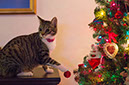 %_tempFileNameGDN25688_print%
