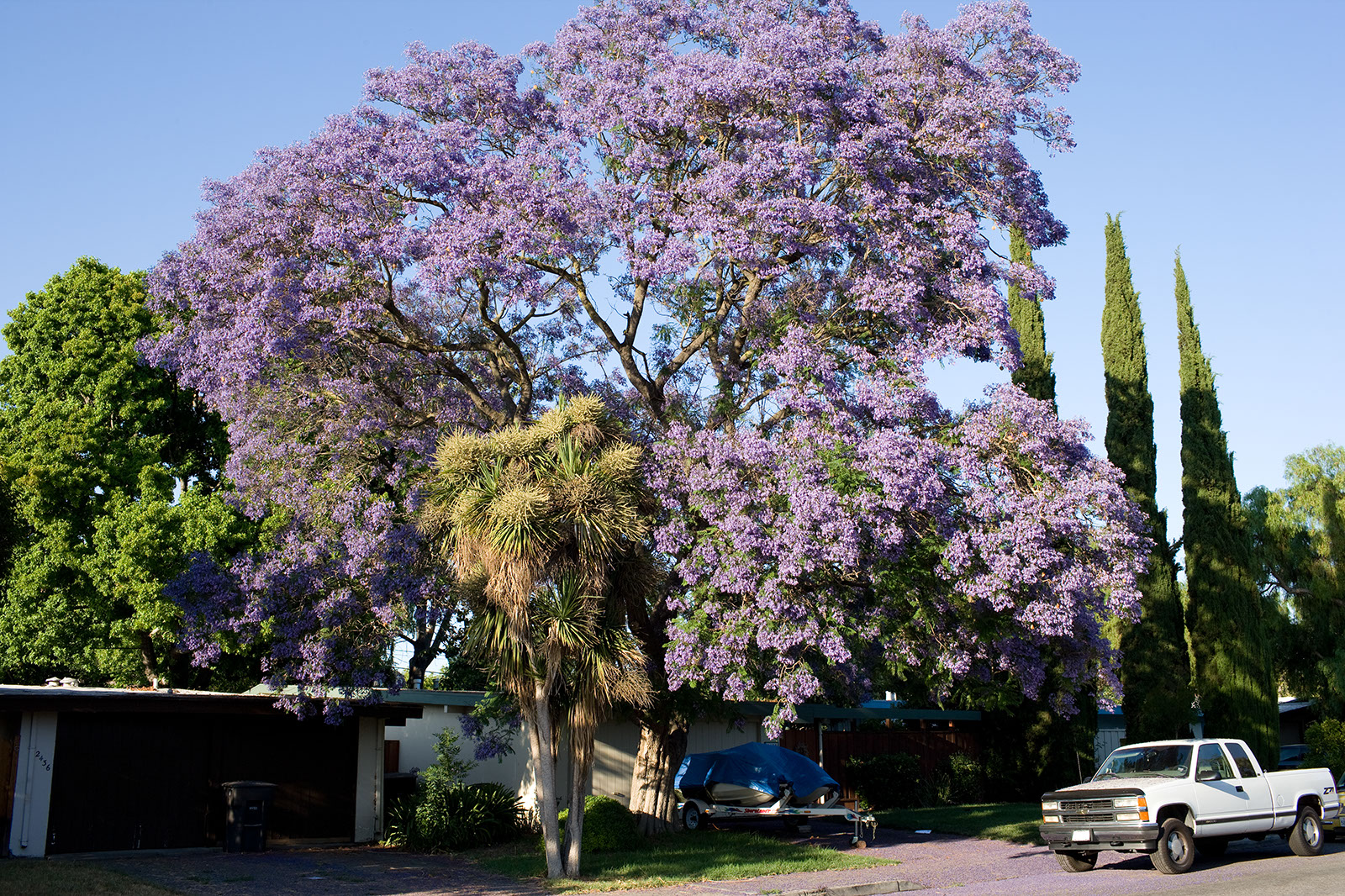 %_tempFileNameWL6L9485_jacaranda%