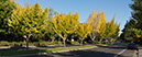 %_tempFileNameFA0A4739_FA0A4757_sharp_crop_50M%