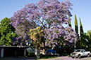 %_tempFileNameWL6L9485_jacaranda%