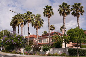 Campbell