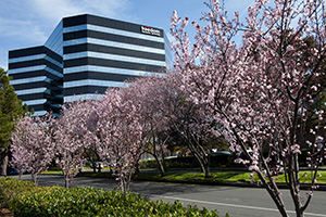San_Mateo