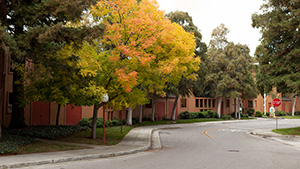 Sunnyvale
