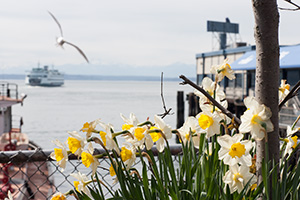 Seattle Apr 2009